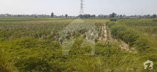 Mirpur Mathelo 6 Acre Land Is Available For Sale