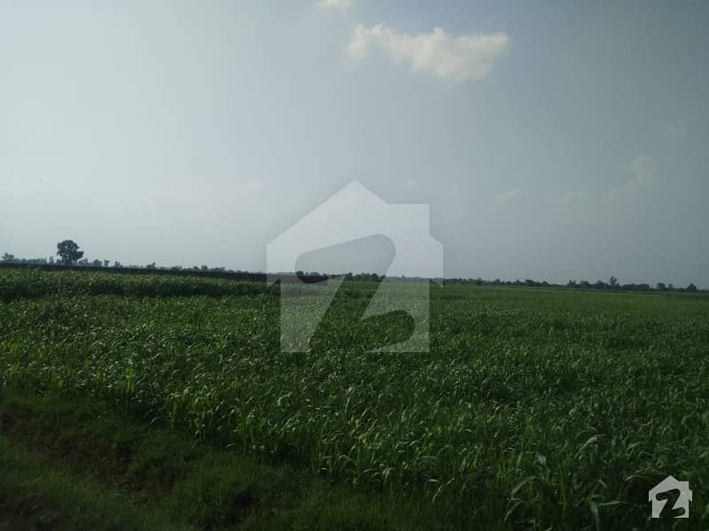 Residential Plot Is Available For Sale