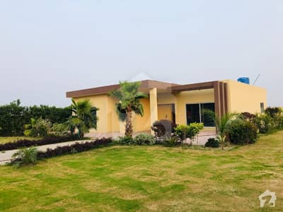 Golden Opportunity Barki Road 4 Kanal Beautiful Farm House Ideal Location Golden Opportunity Barki Road 4 Kanal Beautiful Farm House Ideal Location