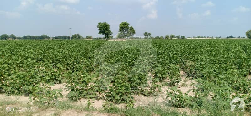 340 Kanal Agricutural Land For Sale With 11 KV Electricity Connection