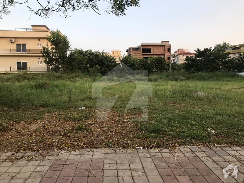 Stunning Location Plot For Sale In Dha