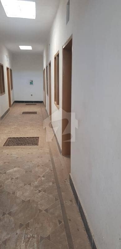 کینال روڈ پشاور میں 9 کمروں کا 6 مرلہ مکان 40 ہزار میں کرایہ پر دستیاب ہے۔