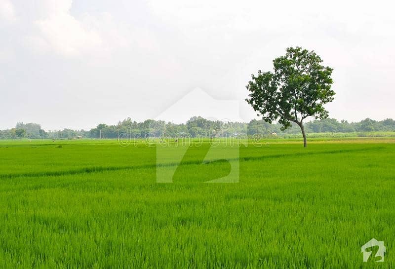 125 Kanal Agriculture Land For Sale