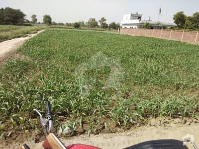 Agricultural