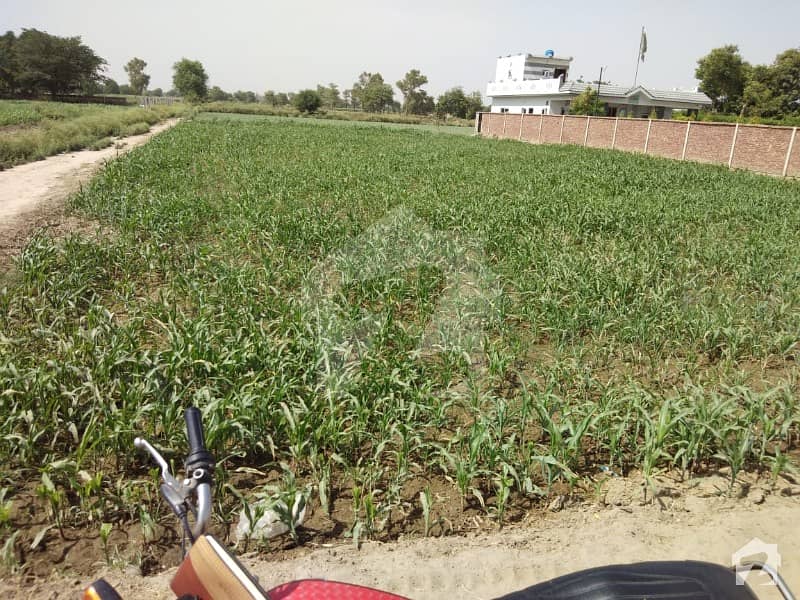 Agricultural Land For Sale Near DHA Phase 7