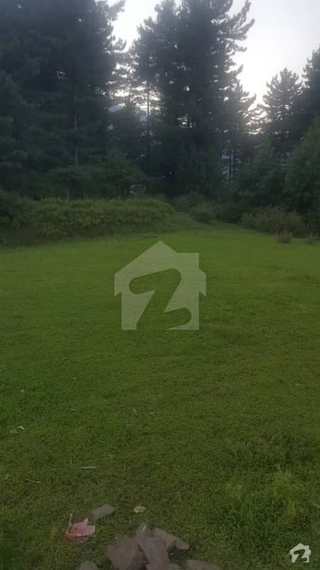 10 Kanal Land Available For Sale In Thandiani