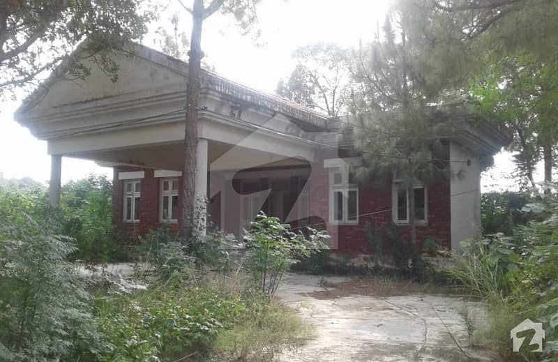 House Is Available For Rent House Is Available For Rent