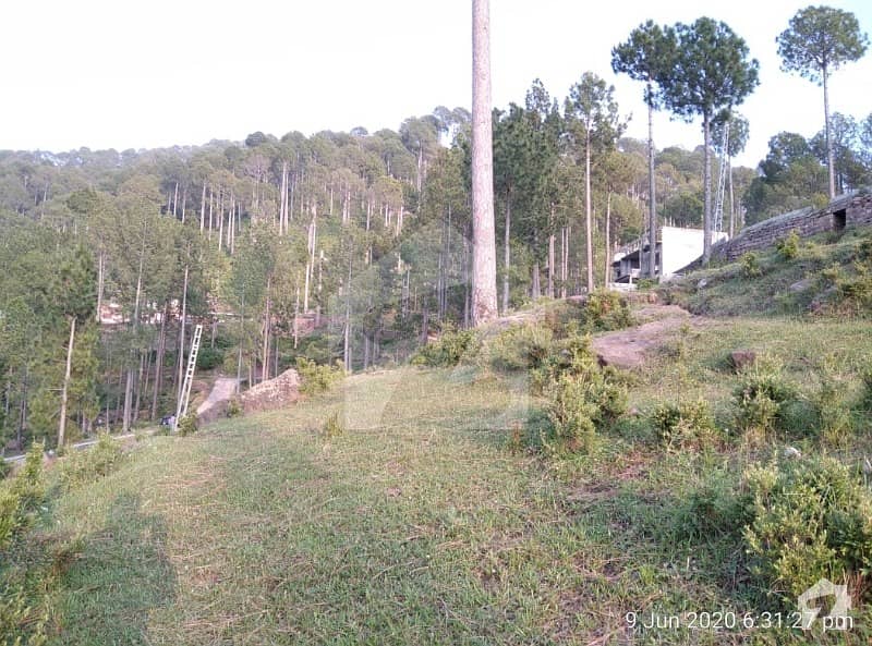 1 Kanal Plot For Sale Right On Main Murree Expressway