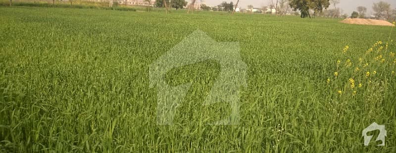 Vvip Agricultural Land Available For Sale On Lahore Sailkot Motorway