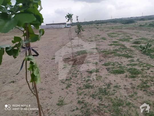 Residential Plot Of 1080  Square Feet For Sale In Razzaqabad