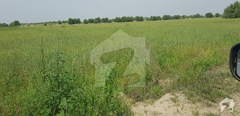 Agricultural Land For Sale