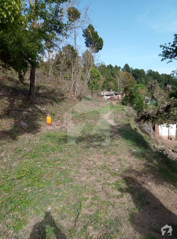 100 Kanal Land Is Available For Sale In Murree