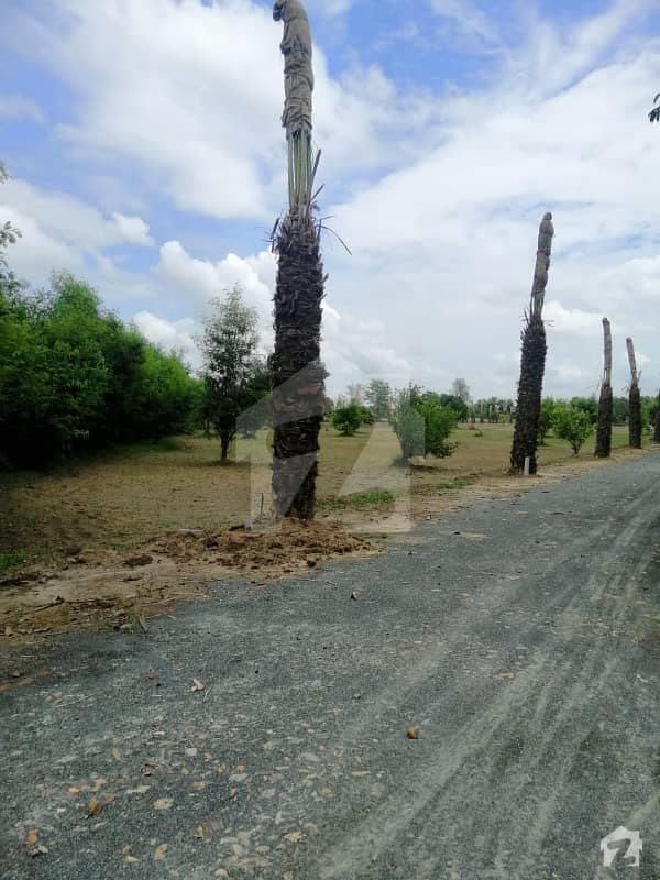 Prime Location Farmhouse Land On Bedian Road