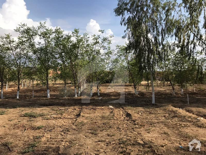 Agricultural Land For Sale At 114db