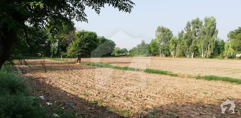 اڈیالہ روڈ راولپنڈی میں 48 کنال زرعی زمین 40 ہزار میں کرایہ پر دستیاب ہے۔