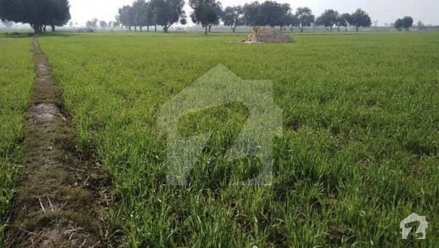 Agricultural Land Of 54000  Square Feet In Tibba Sultanpur For Sale