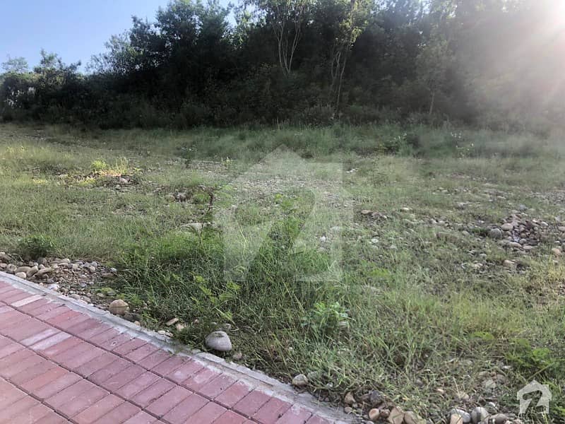 1 Kanal Plot Available For Sale In DHA