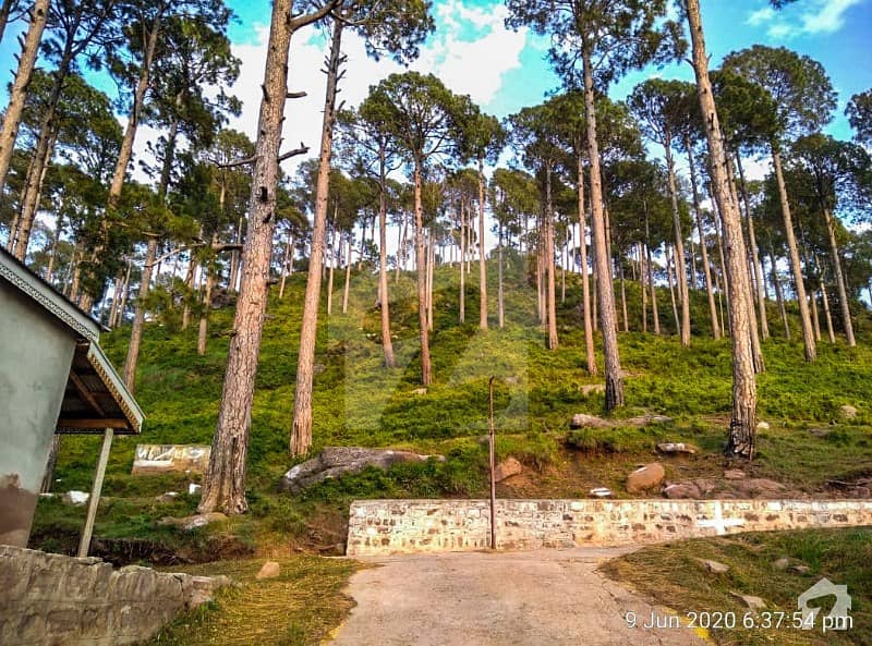 8 Marla Plot For Sale On Expressway Murree