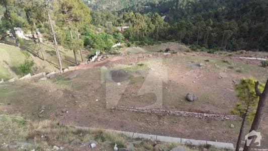 1 Kanal Plot For Sale 1 Kanal Plot For Sale