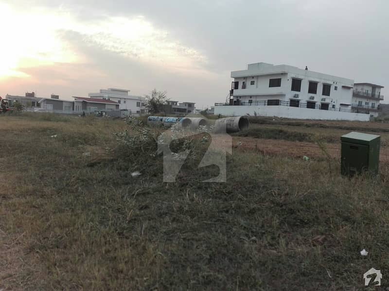 20 Marla Plot File In D-12 For Sale At Good Location
