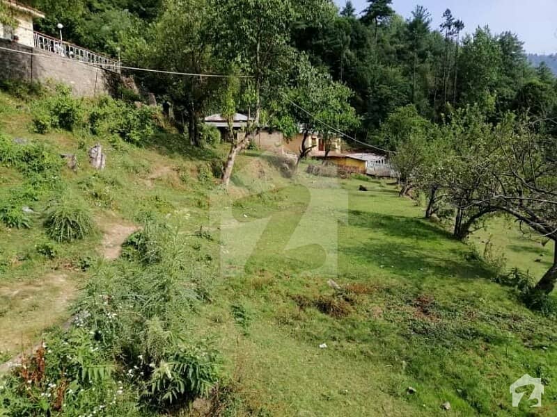 2250  Square Feet Residential Plot Up For Sale In Gharial Camp