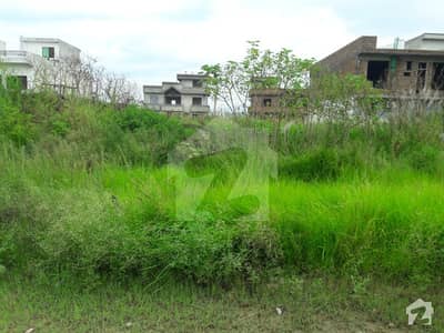 Residential Plot For Sale In I-14 Markaz Residential Plot For Sale In I-14 Markaz