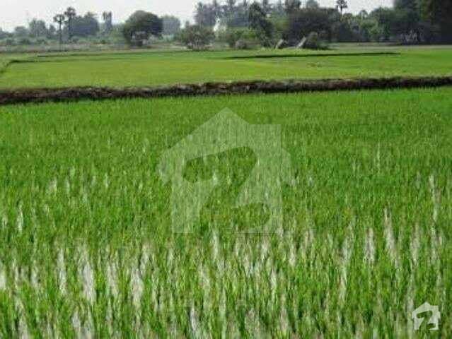 2 Kanal Agriculture Land For Sale