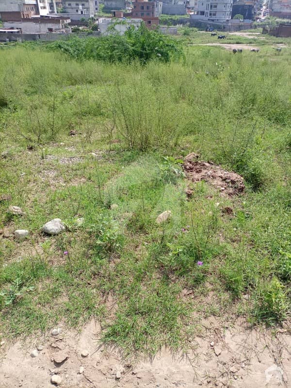 Commercial Plot For Sale In Vip Extension Sect 4