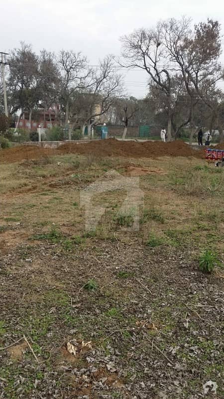 99 Marla Commercial Plot For Sale On Mangla Road