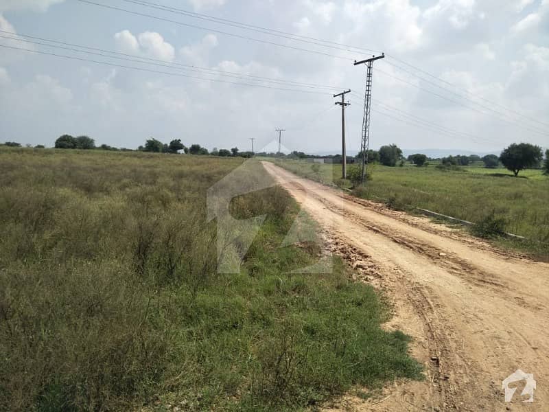 99000  Square Feet Agricultural Land For Sale In Bango Road