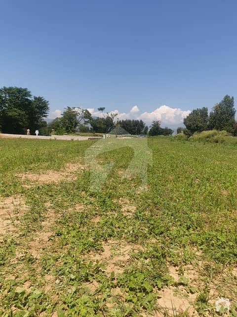 1 Kanal Plot Available For Sale In Phase 12, Jia Mera Road College Duraha Near Mall Mandi Mansehra