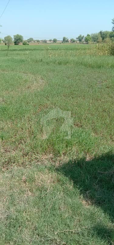 12375 Square Feet Agricultural Land For Sale In Larr