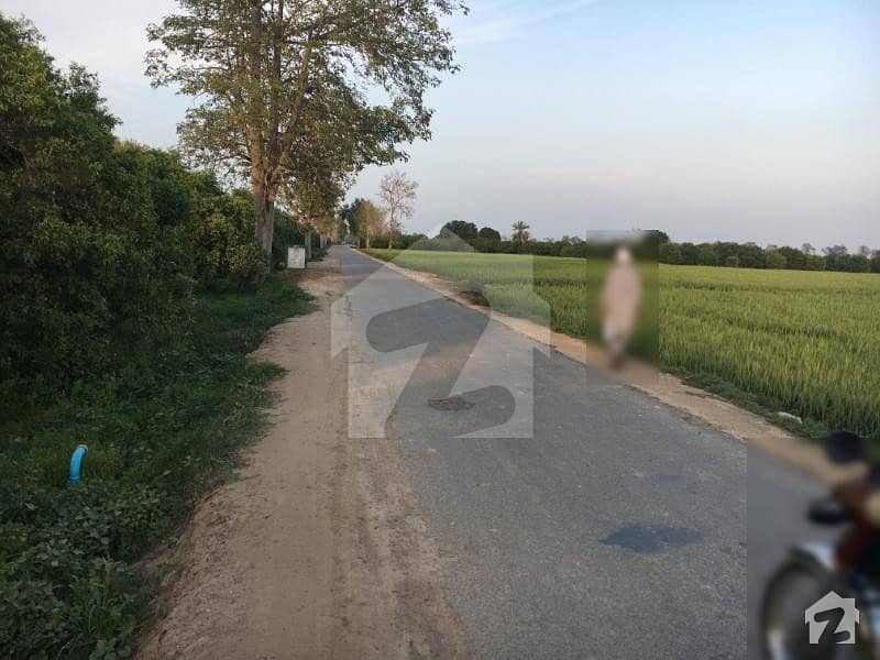 49 Kanal Agricultural Land Is Available For Sale