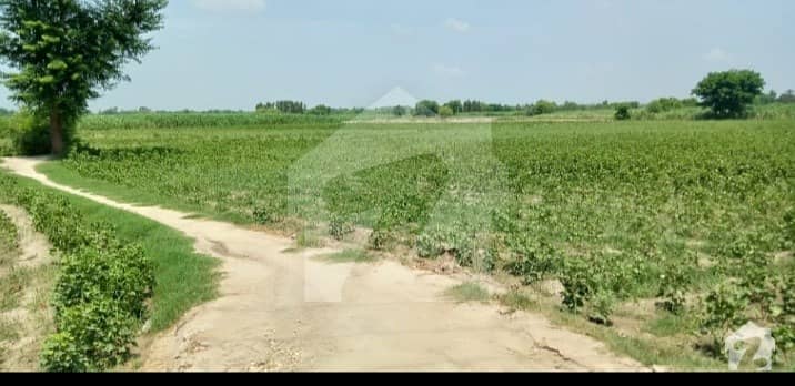 5 Acres Agricultural Land Is Ready For Sale Which Is Along With Main KLP National Highway Road
