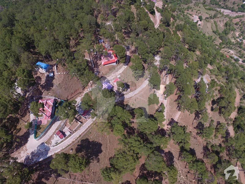 Plot For Sale In Murree On Extreme Beautiful And Peaceful Location