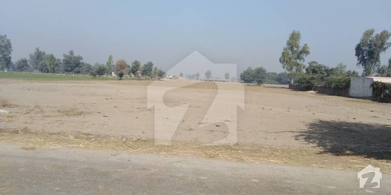 گھاوند لاہور میں 64 کنال زرعی زمین 8.8 کروڑ میں برائے فروخت۔