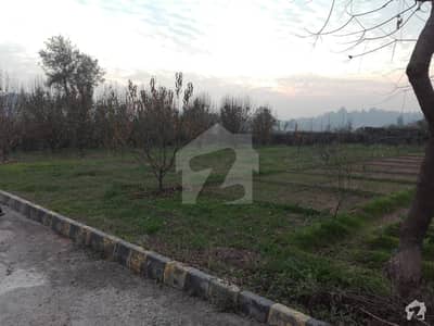 In Shaheen Town Residential Plot Sized 2450 Square Feet For Sale