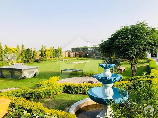 Lush Green Farmhouse Available On Rent Lush Green Farmhouse Available On Rent