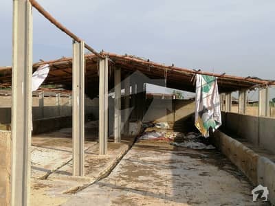 Dairy Farm Cattle farm is available for sale Running Dairy Farm Space for 300Cows Dairy Farm Cattle farm is available for sale Running Dairy Farm Space for 300Cows