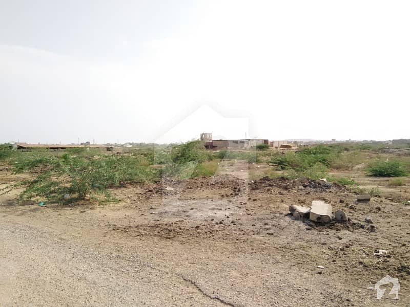 Residential Plot Available For Sale In Surjani Town