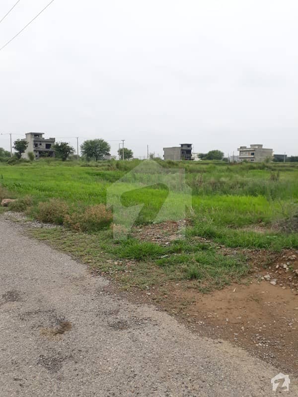 I-16/4 30x60 Level Plot For Sale