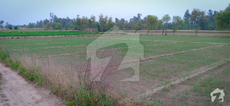 Agricultural Land For Sale In District Khushab