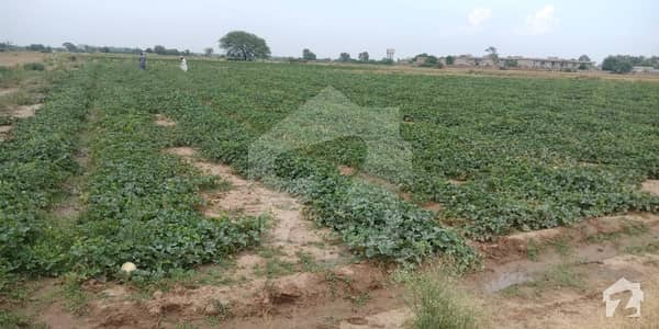 کلر کہار روڈ چکوال میں 200 کنال زرعی زمین 10 کروڑ میں برائے فروخت۔