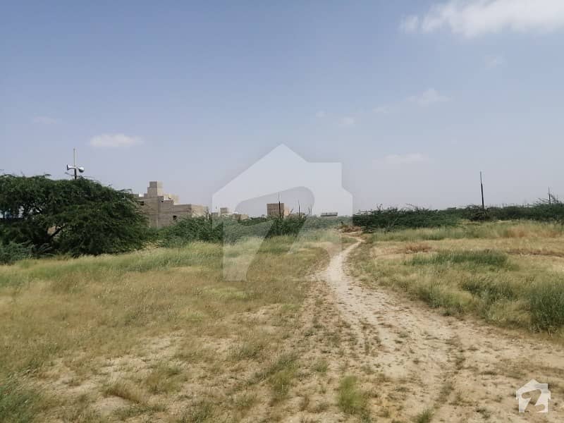 756  Square Feet Residential Plot Up For Sale In Gadap Town