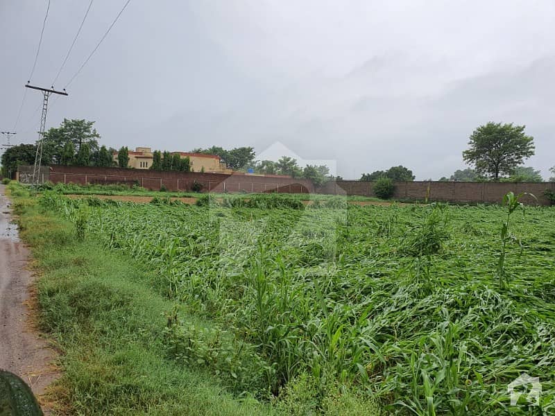 صوفیہ فارم ہاؤسز بیدیاں روڈ لاہور میں 18000 کنال زرعی زمین 2.6 کروڑ میں برائے فروخت۔