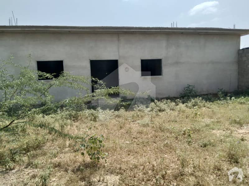 Cattle Dairy Farm Available For Sale Neat To Memon Goth