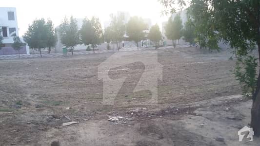 7 Marla Plot Shara City Phase 1 Renala Khurd Distic Okara 7 Marla Plot Shara City Phase 1 Renala Khurd Distic Okara
