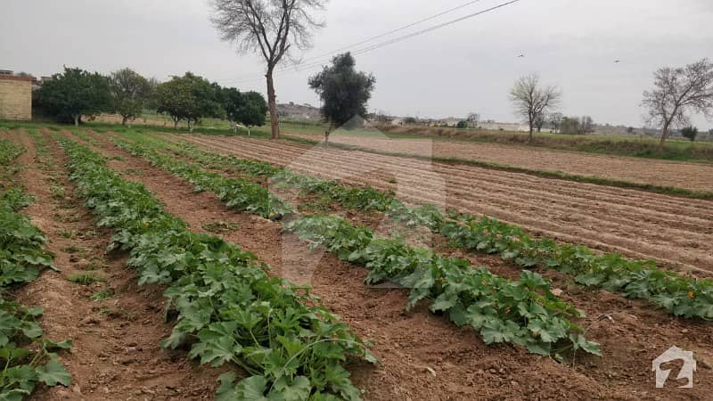 Agricultural Land 150 kanal  Is Available For Sale