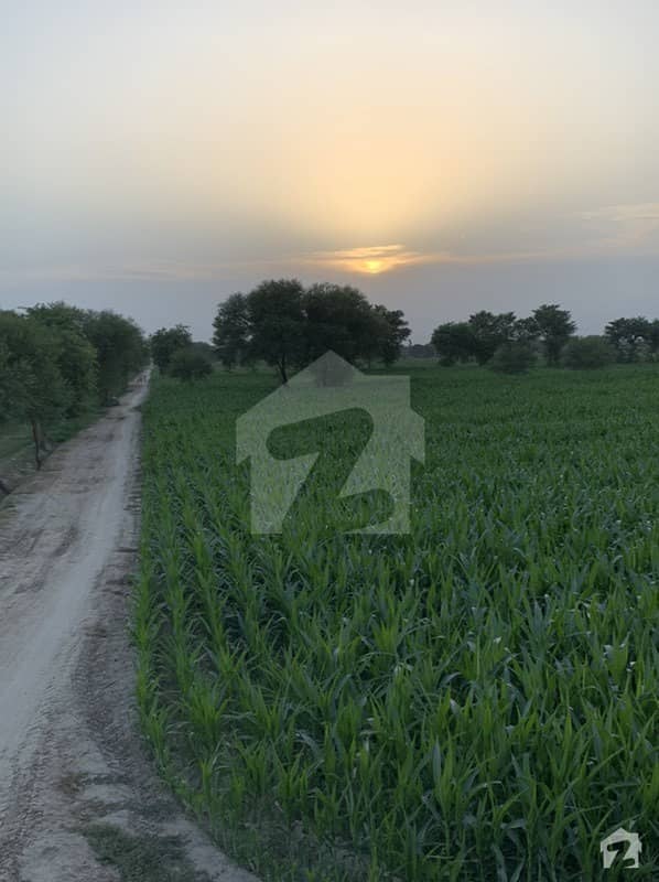 Biggest Agricultural Plot Land Of Pakistan For Sale