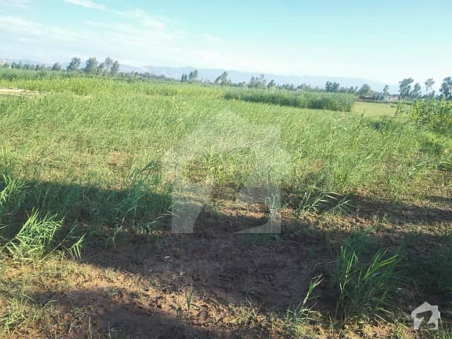 Agricultural Land For Sale In Nowshera Pabbi Link Charsada Motorway